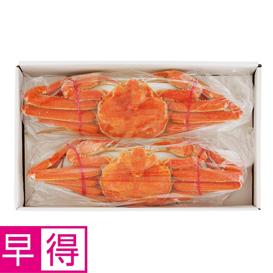 【夏の贈りもの早得】北海道産　浜茹でおおずわいがに姿２尾 商品サムネイル
