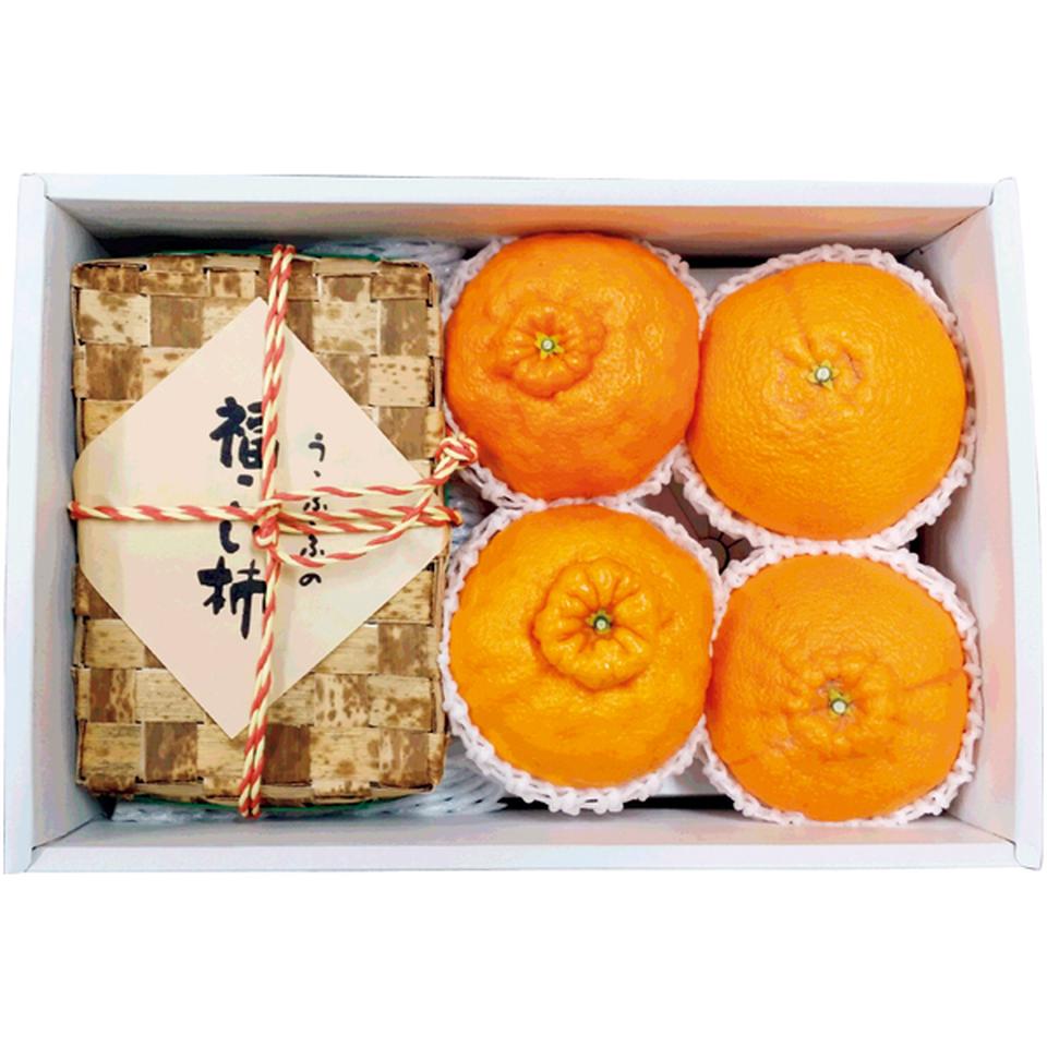 【冬の贈りもの】和歌山県産 あんぽ柿（竹籠）＆しらぬい（不知火） 商品サムネイル