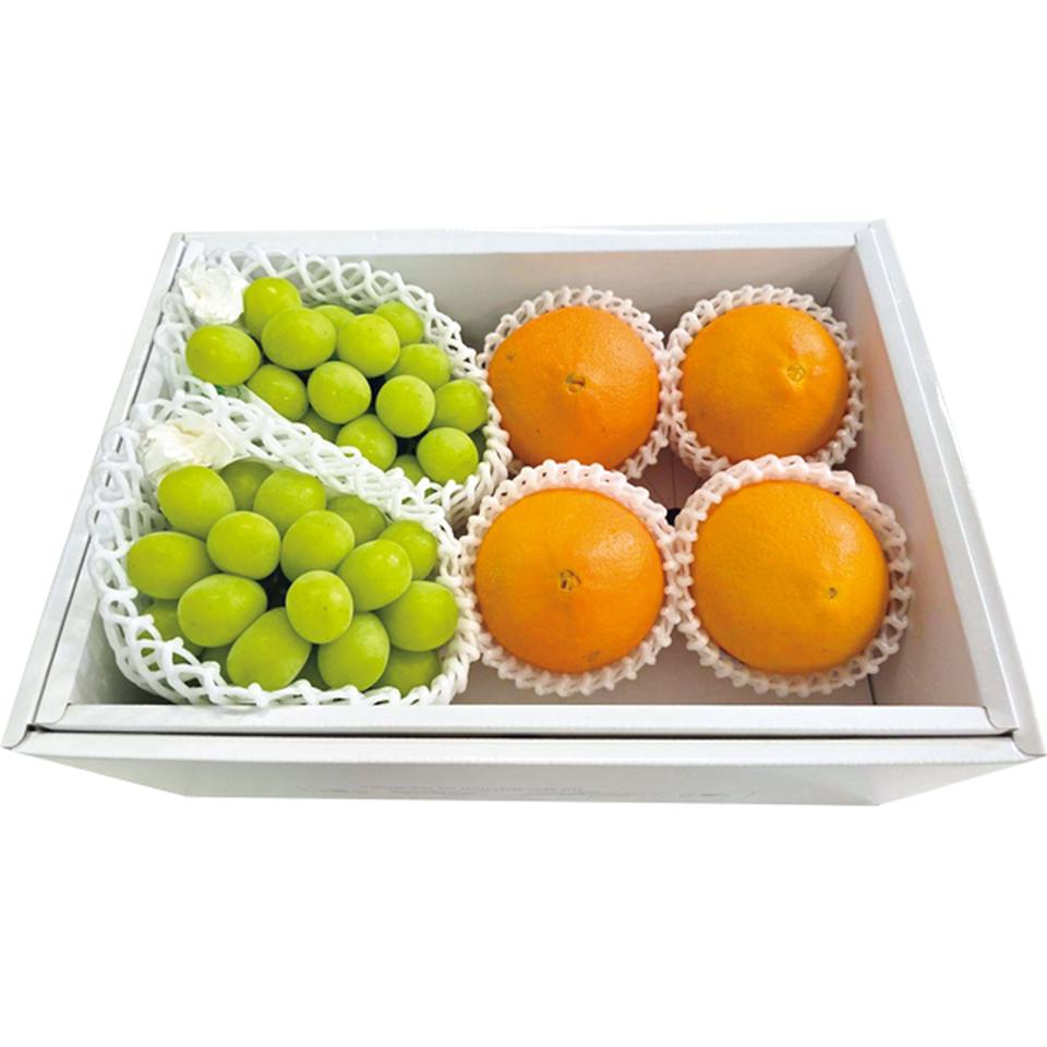 【お歳暮 ギフト】長野県産・愛媛県産 シャインマスカット＆紅まどんな 商品サムネイル