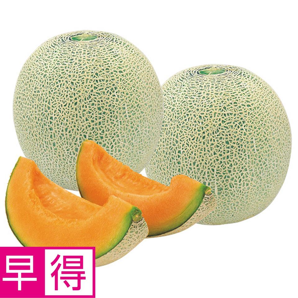 【夏の贈りもの早得】北海道産　自宅用　ツルなし赤肉メロン 商品サムネイル