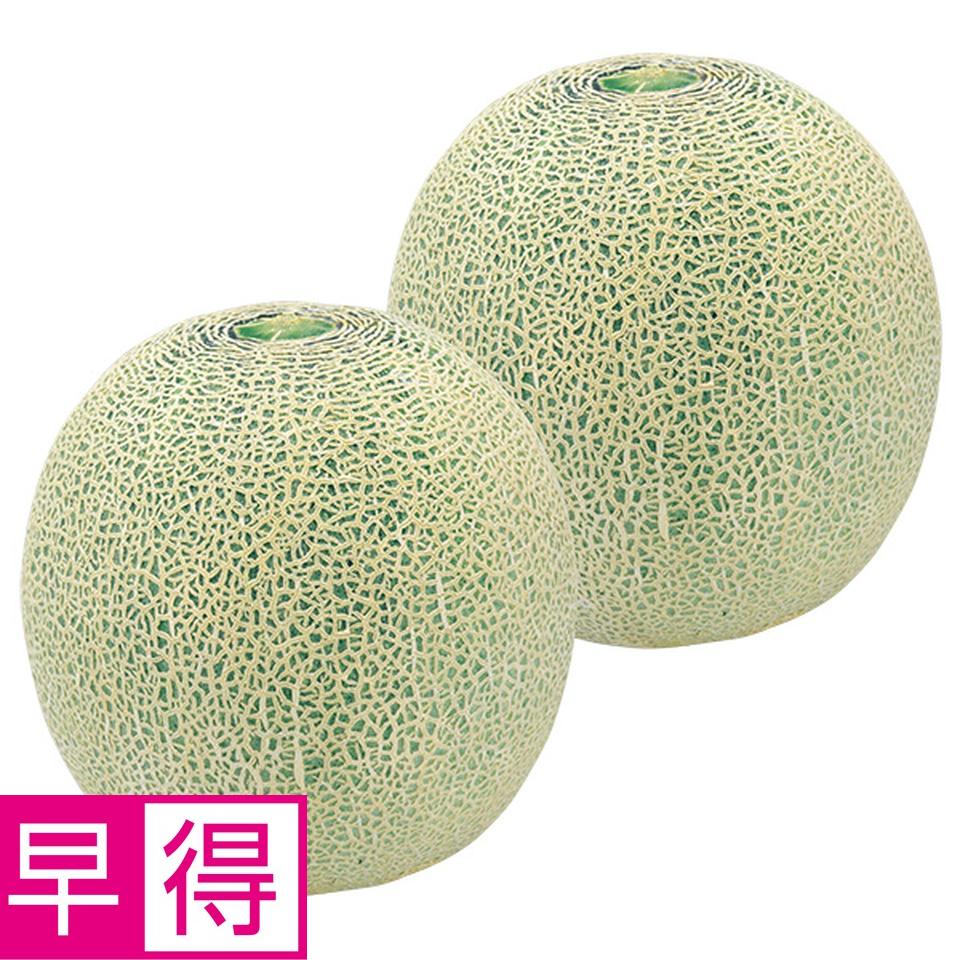 【夏の贈りもの早得】北海道産　自宅用　ツルなし赤肉・青肉メロン 商品サムネイル