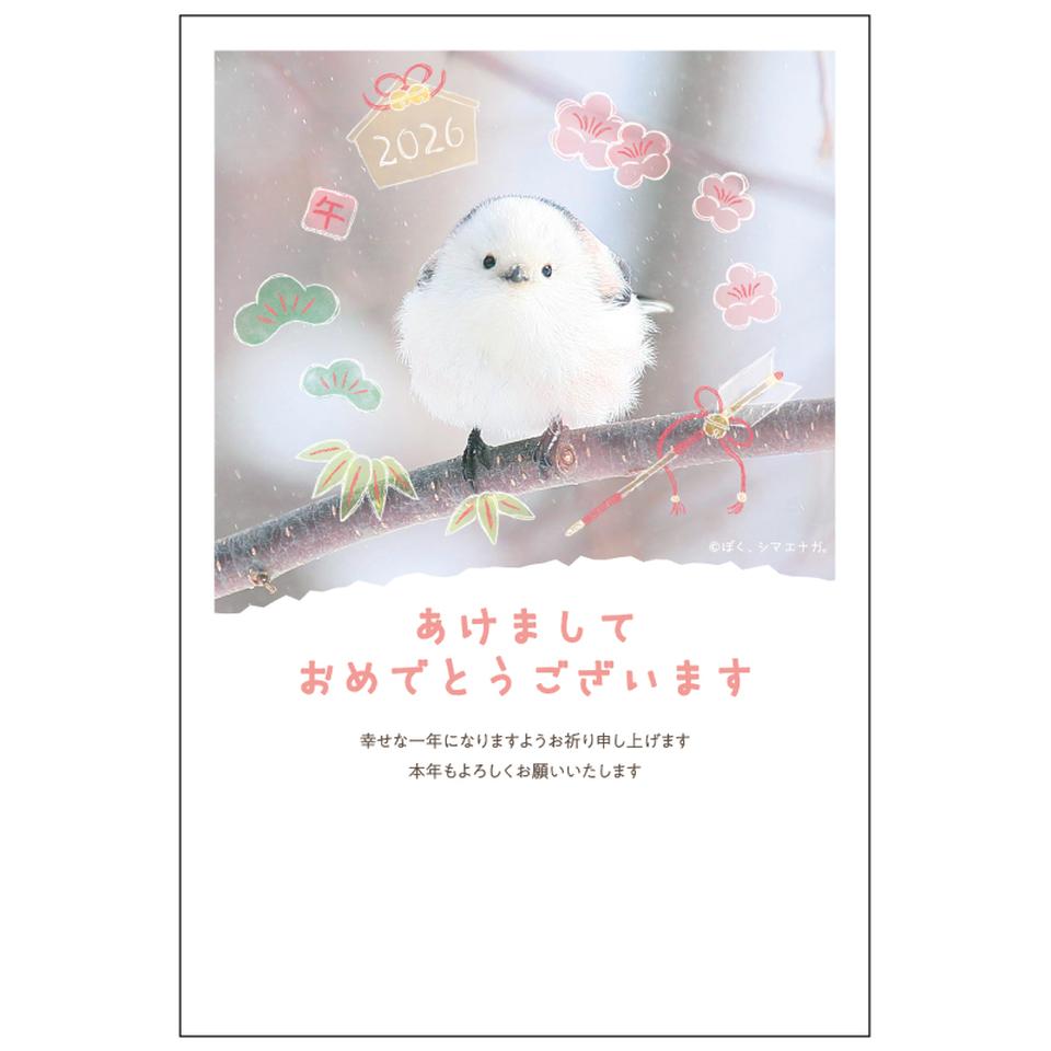 【フタバ年賀状パック】 イラスト付き年賀はがき エスターバニー カラー（3枚入り） EB-01 商品サムネイル