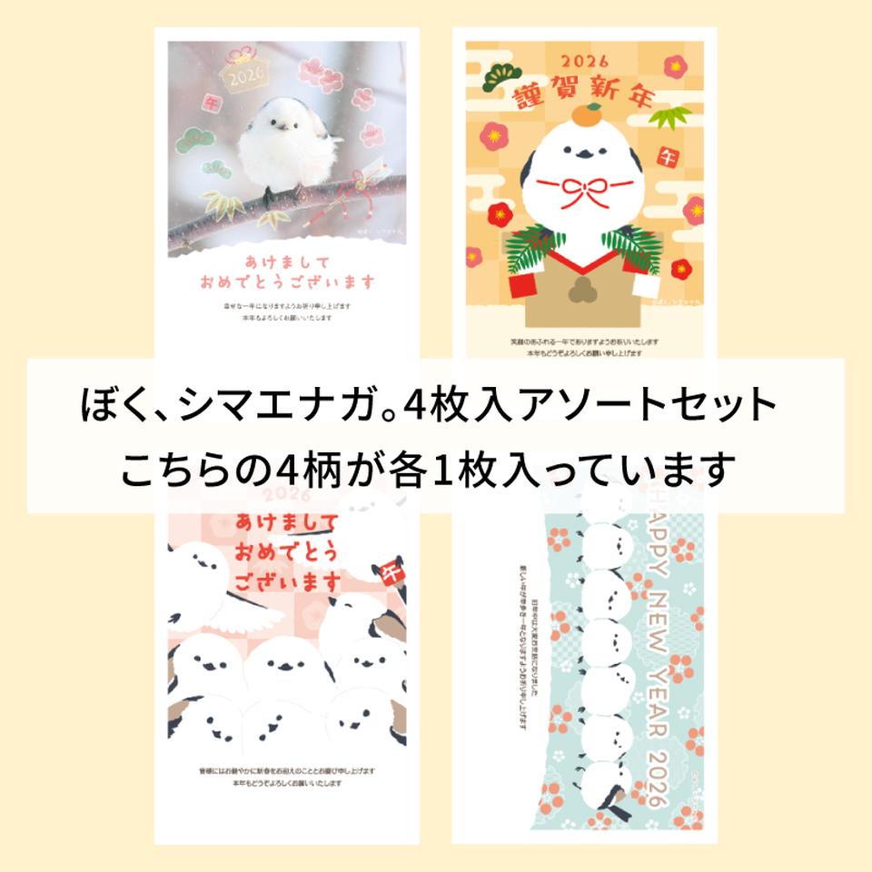 【フタバ年賀状パック】 イラスト付き年賀はがき ぼく、シマエナガ。 カラーSMGアソート（4枚入り） 商品サムネイル