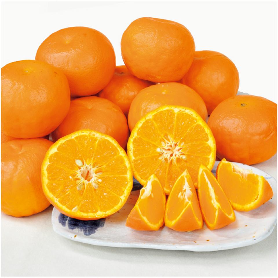 【母の日早得】和歌山県産セミノール 3kg 商品画像(1)