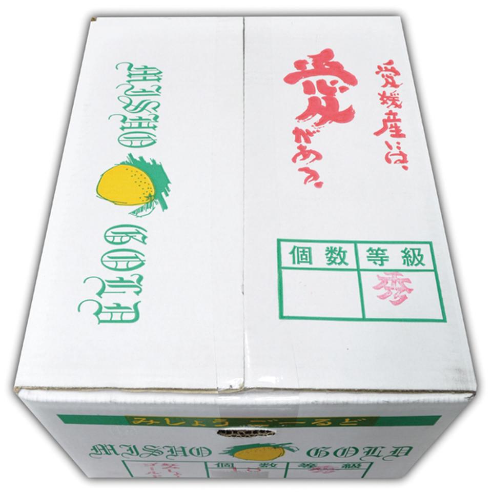 【母の日早得】愛媛県産みしょうゴールド７ｋｇ 商品サムネイル