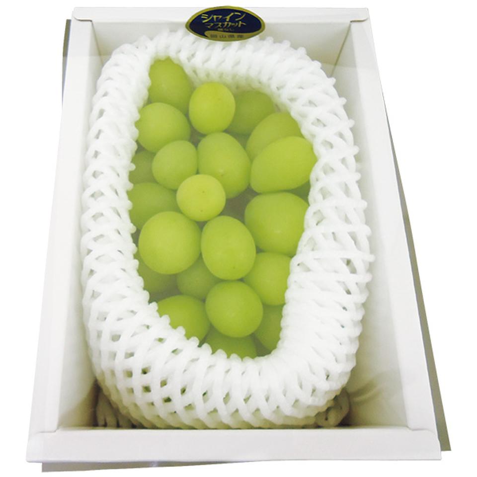 【夏の贈りもの】岡山県産　岡山シャインマスカット 商品サムネイル