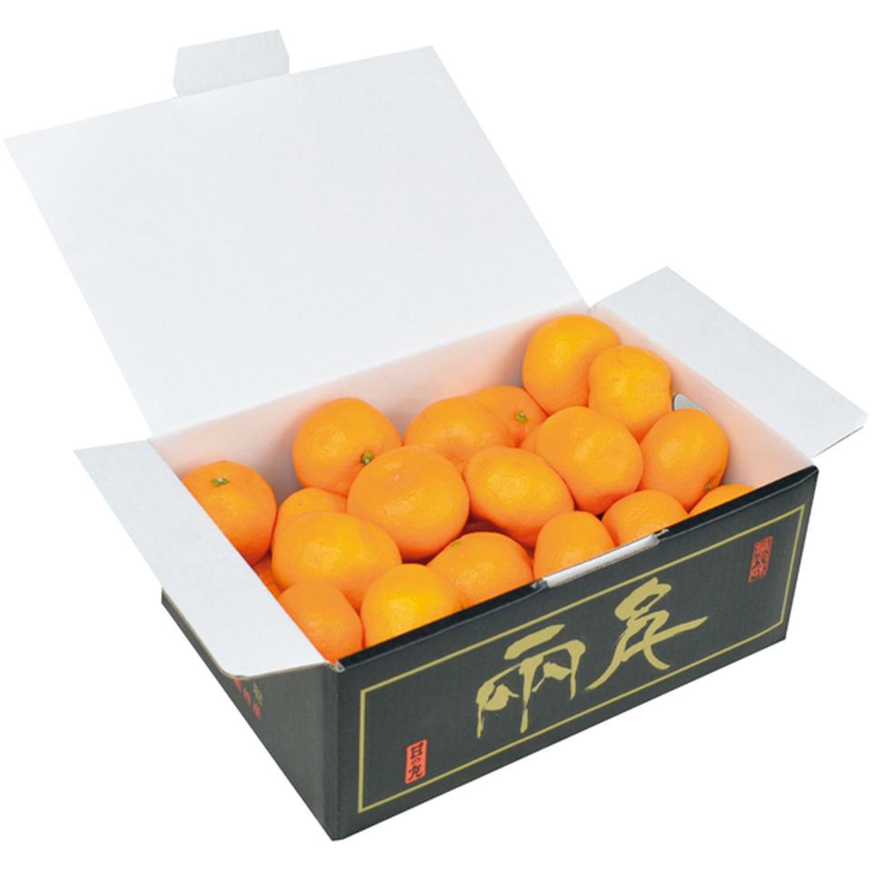 【冬の贈りもの】愛媛県産（ＪＡにしうわ日の丸共選） 日の丸みかん２．５ｋｇ 商品サムネイル
