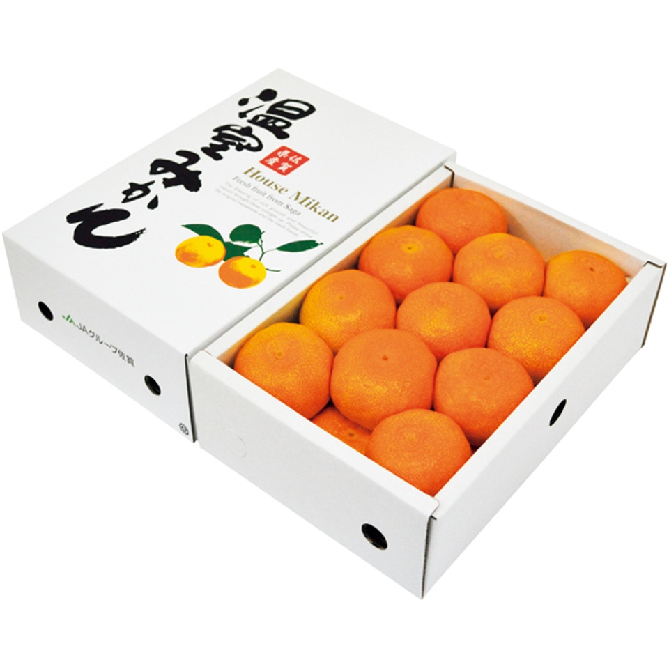 【夏の贈りもの】佐賀県産 温室みかん １．５ｋｇ 商品サムネイル
