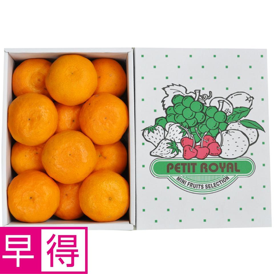 【母の日早得】愛媛県産又は和歌山県産カラマンダリン　１ｋｇ 商品サムネイル