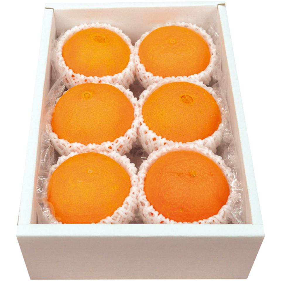 【冬の贈りもの】愛媛県産 紅まどんな（秀品、６～９個） 商品サムネイル