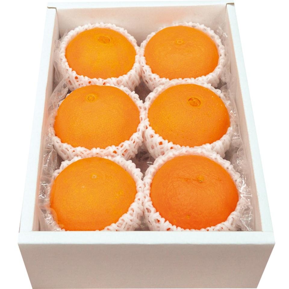 【お歳暮 ギフト】愛媛県産 紅まどんな 秀品、6~9個、計1.4kg以上 商品画像(1)