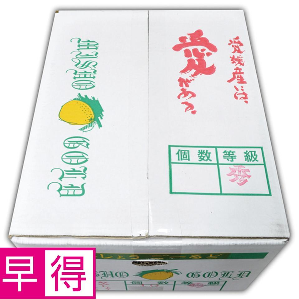 【母の日早得】愛媛県産みしょうゴールド５ｋｇ 商品サムネイル
