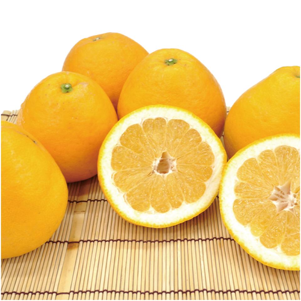 【母の日早得】愛媛県産みしょうゴールド5kg 商品画像(1)