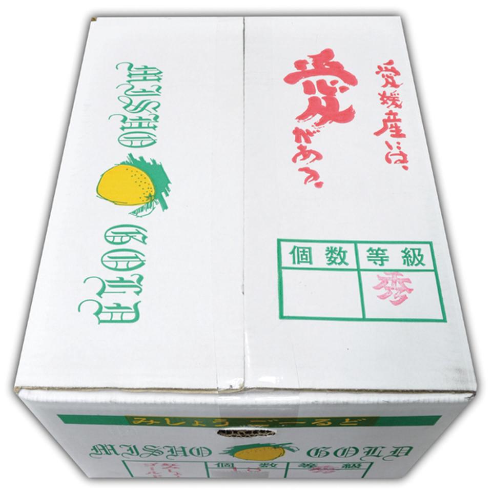 【母の日早得】愛媛県産みしょうゴールド５ｋｇ 商品サムネイル
