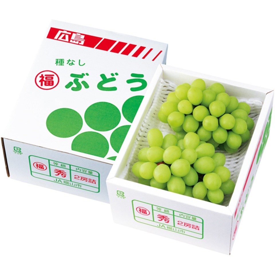 【夏の贈りもの】広島県産 広島シャインマスカット 商品サムネイル
