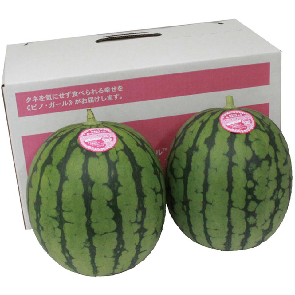 【父の日】長崎県又は熊本県又は和歌山県産ピノガール２玉 商品サムネイル