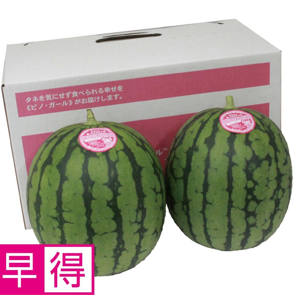 【父の日早得】長崎県又は熊本県又は和歌山県産ピノガール２玉 商品サムネイル