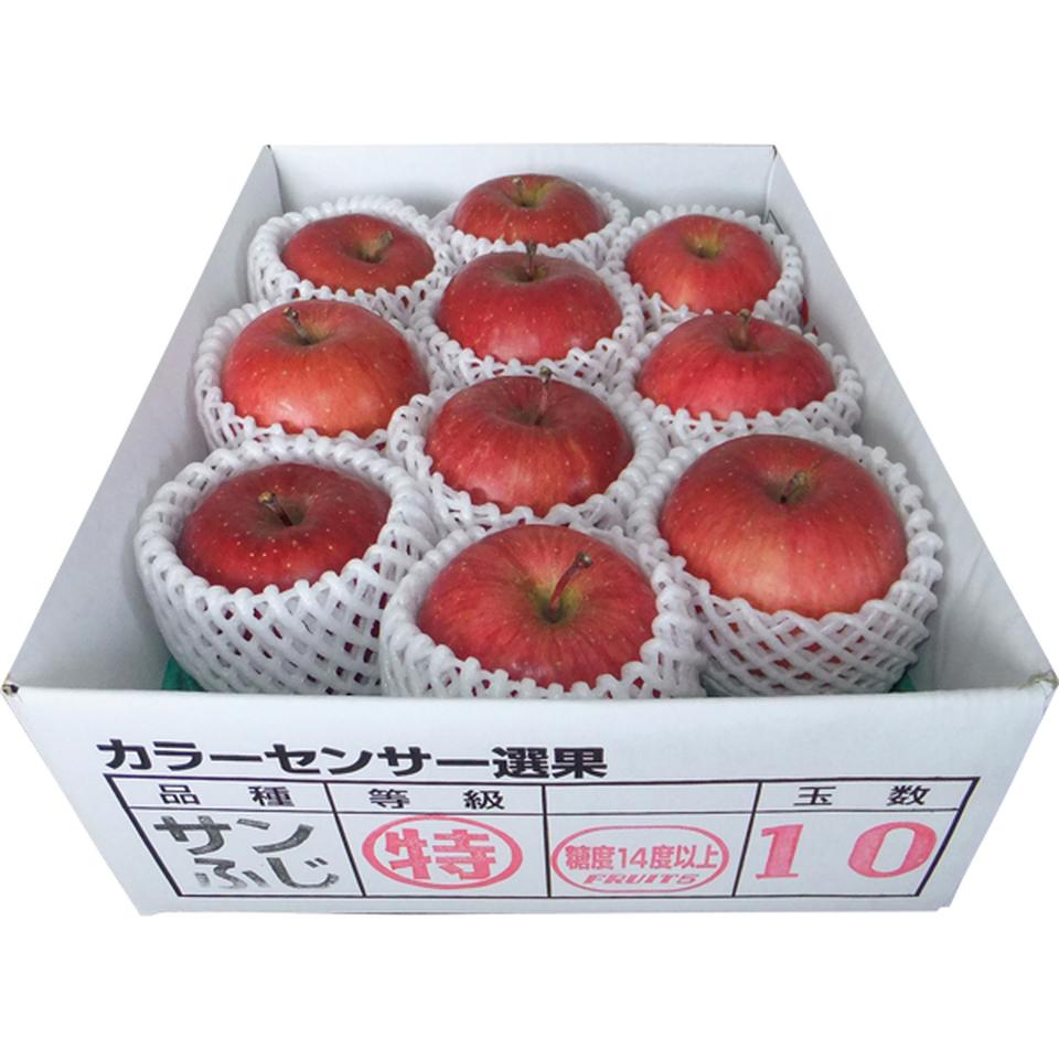 【お歳暮 ギフト】青森県産 高糖度　サンふじりんご 商品サムネイル