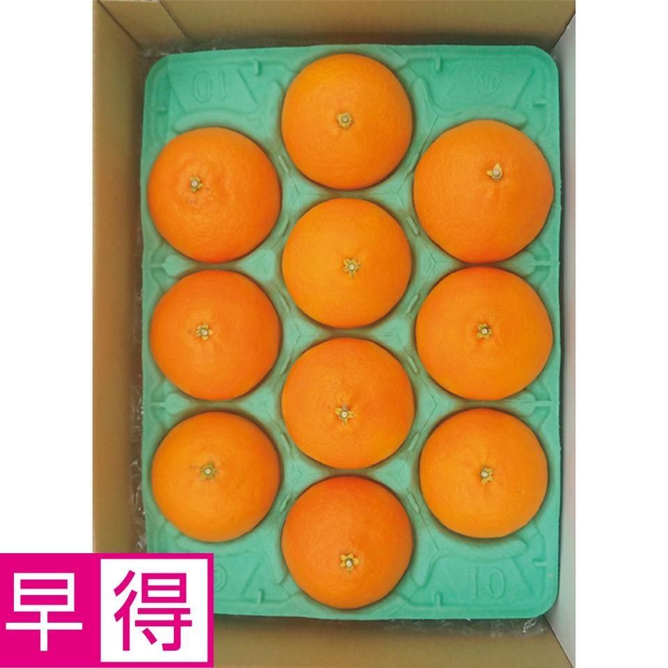 【お歳暮 ギフト早得】愛媛県産 あいか（並詰め） 商品サムネイル