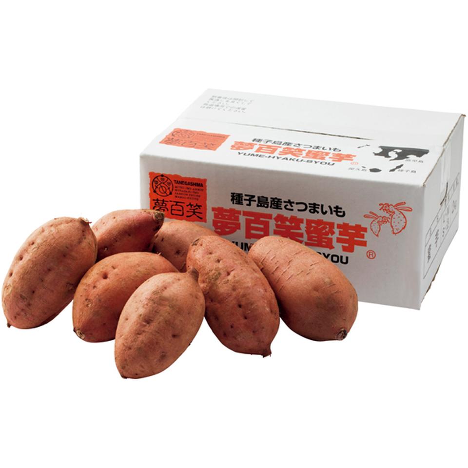 【冬の贈りもの】鹿児島県産 種子島　夢百姓安納芋２ｋｇ 商品サムネイル