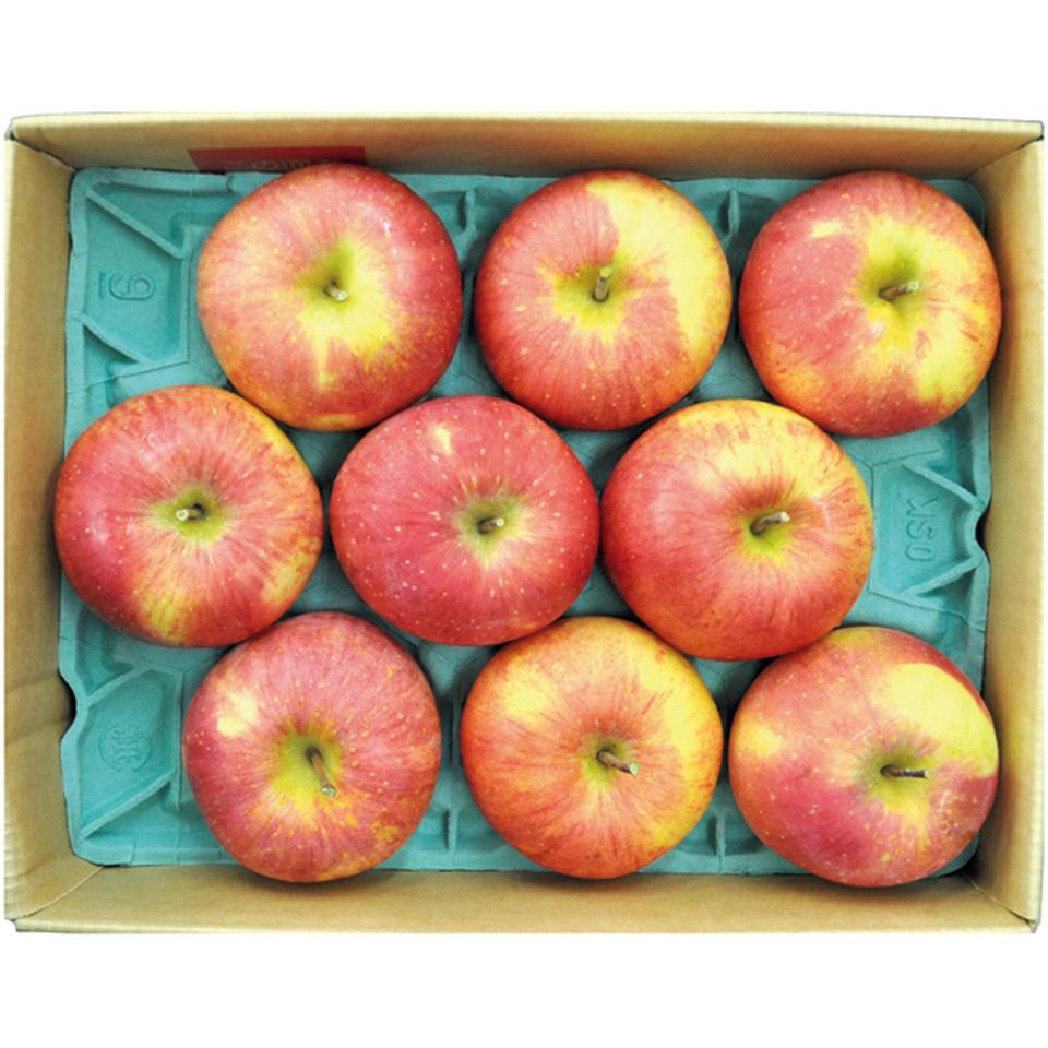 【冬の贈りもの】青森県産 葉とらずサンふじりんご（８～１１個、計２．８ｋｇ） 商品サムネイル