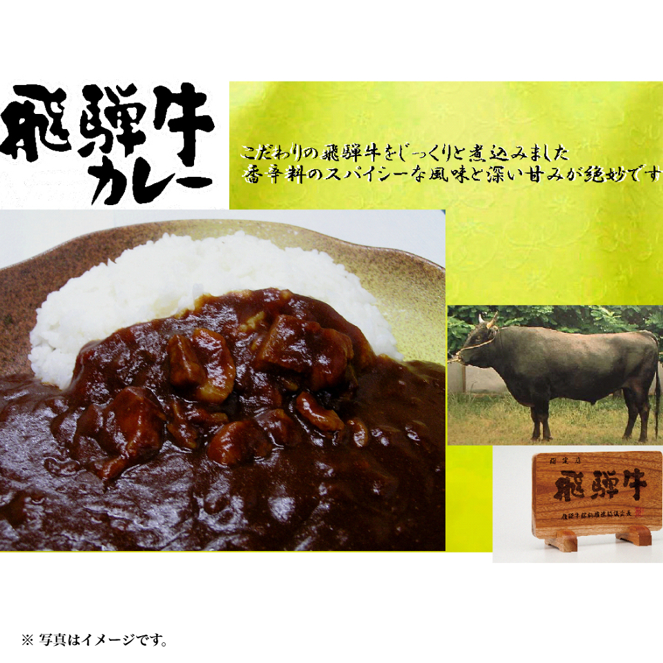 【岐阜 大栄食品】飛騨牛カレー 4パックセット 商品画像(1)