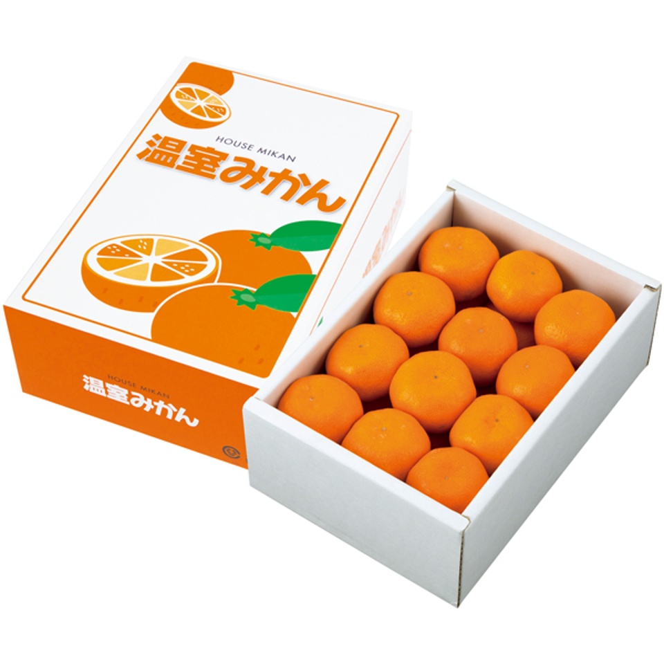 【夏の贈りもの】愛知県産（ＪＡ愛知みなみ） 愛知みなみハウスみかん 商品サムネイル
