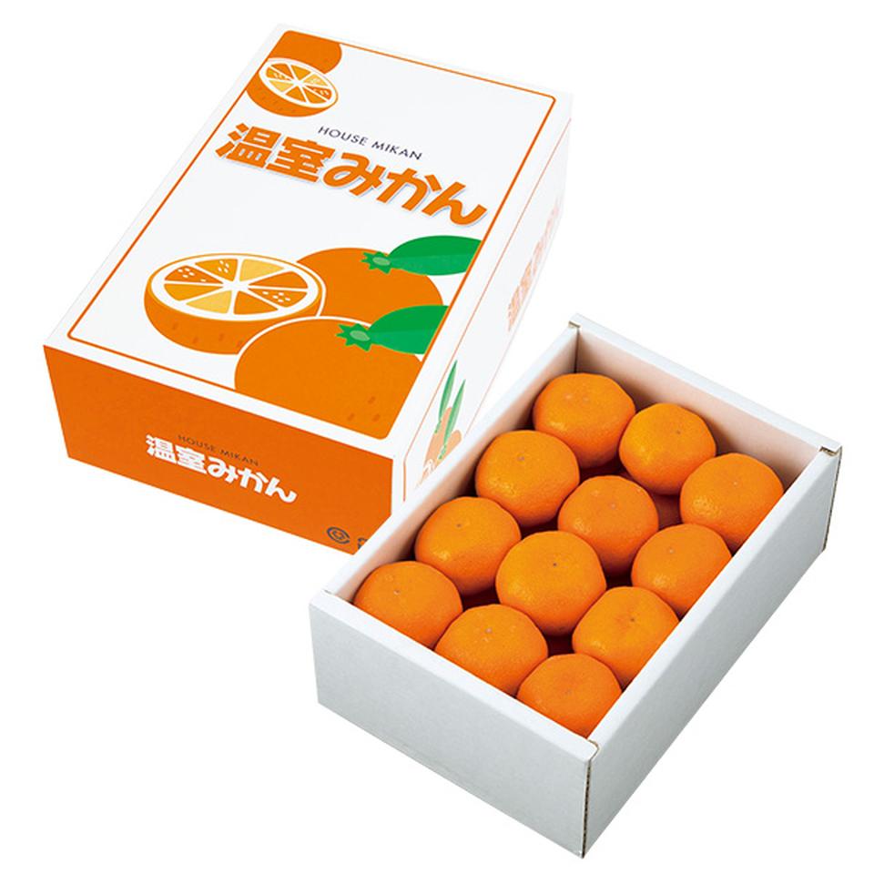 【夏の贈りもの】愛知県産（ＪＡ愛知みなみ）　愛知みなみハウスみかん　型番：Ｓ２４個 商品サムネイル