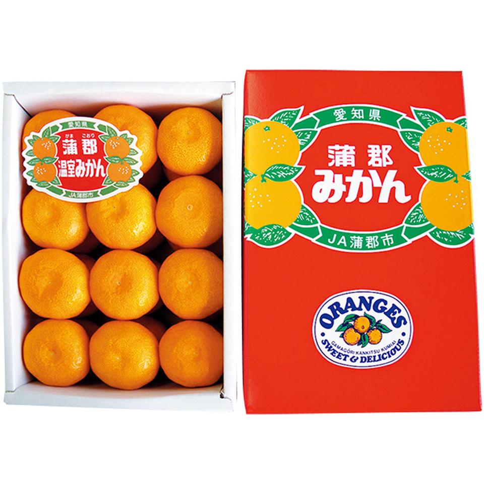 【夏の贈りもの】愛知県産（ＪＡ蒲郡市）　蒲郡ハウスみかんＳ２４個、計１．８ｋｇ 商品サムネイル