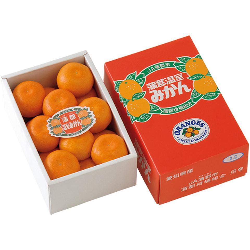 【夏の贈りもの】愛知県産（ＪＡ蒲郡市）　蒲郡ハウスみかんＭ１２個又はＳ１５個、計１．１ｋｇ 商品サムネイル