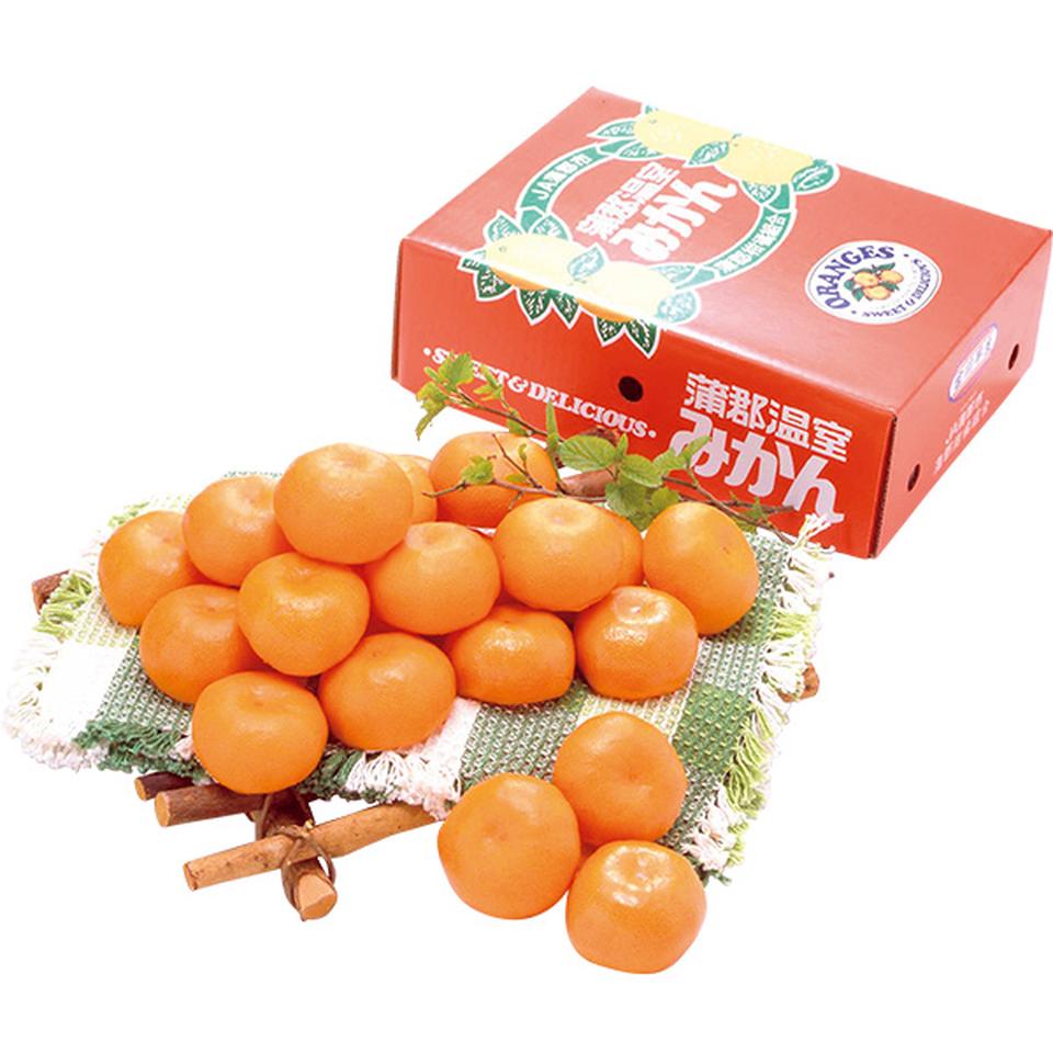 【夏の贈りもの】愛知県産（ＪＡ蒲郡市）　蒲郡ハウスみかんＳ３０個又はＭ２４個、計２．３ｋｇ 商品サムネイル