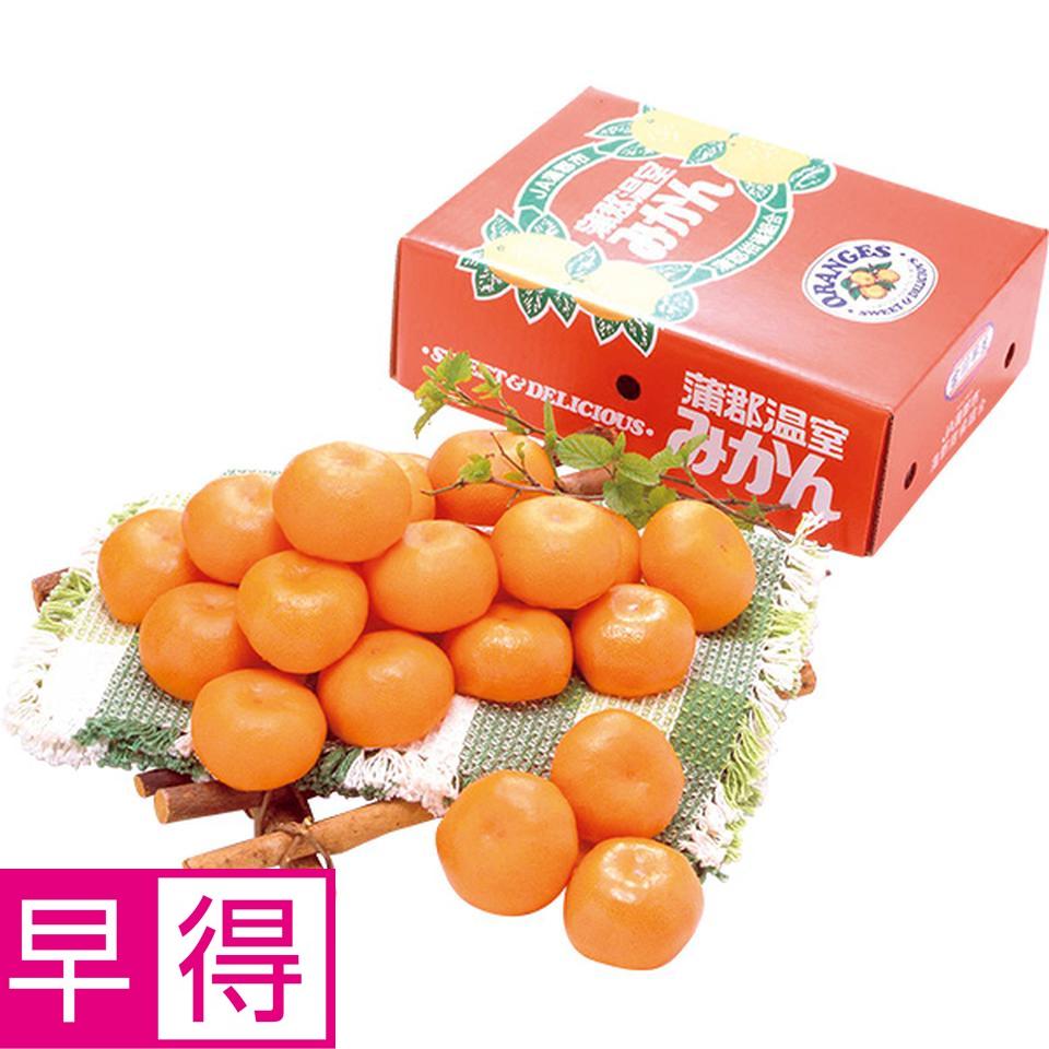 【夏の贈りもの早得】愛知県産（ＪＡ蒲郡市）　蒲郡ハウスみかんＳ３０個又はＭ２４個、計２．３ｋｇ 商品サムネイル