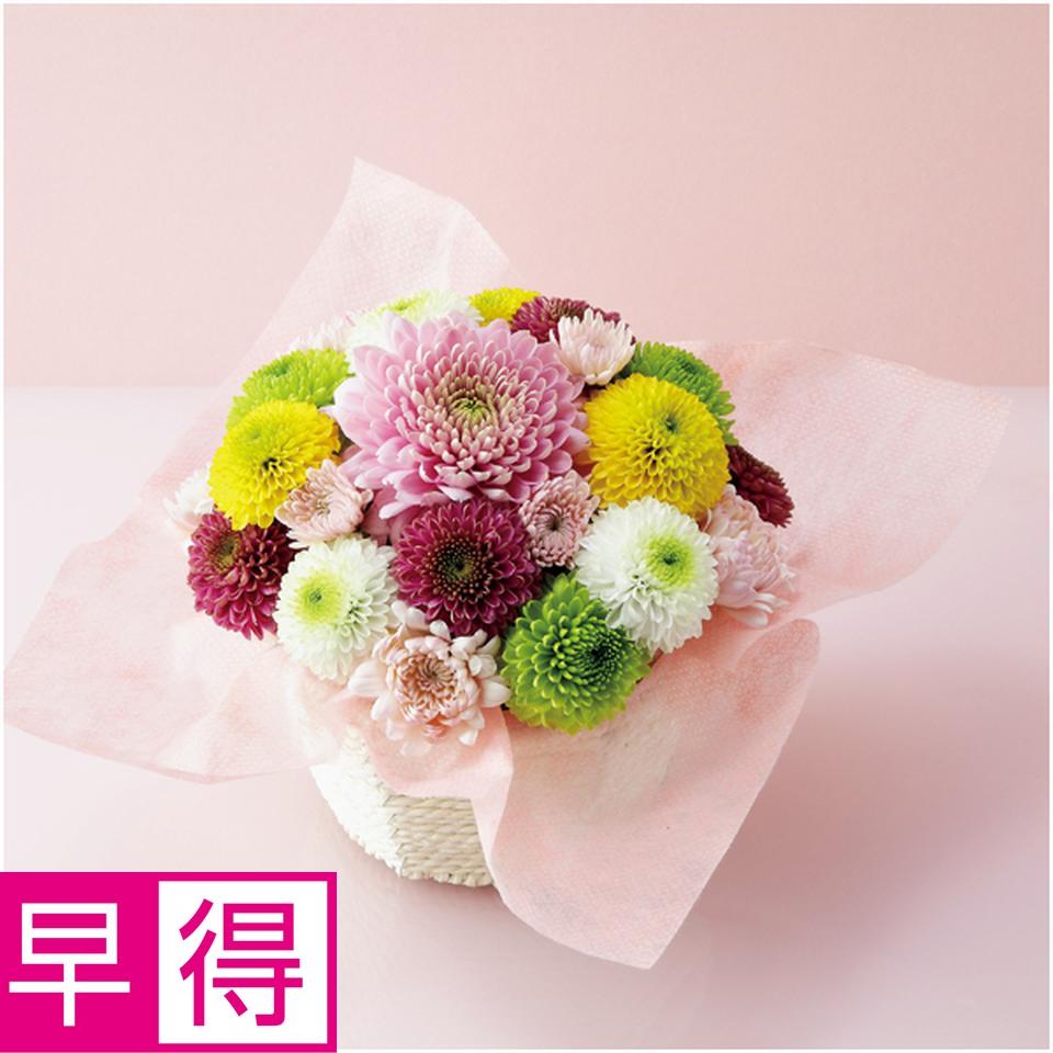 【母の日早得】茨木春草園フラワーアレンジ「マカロンケーキ」 商品サムネイル