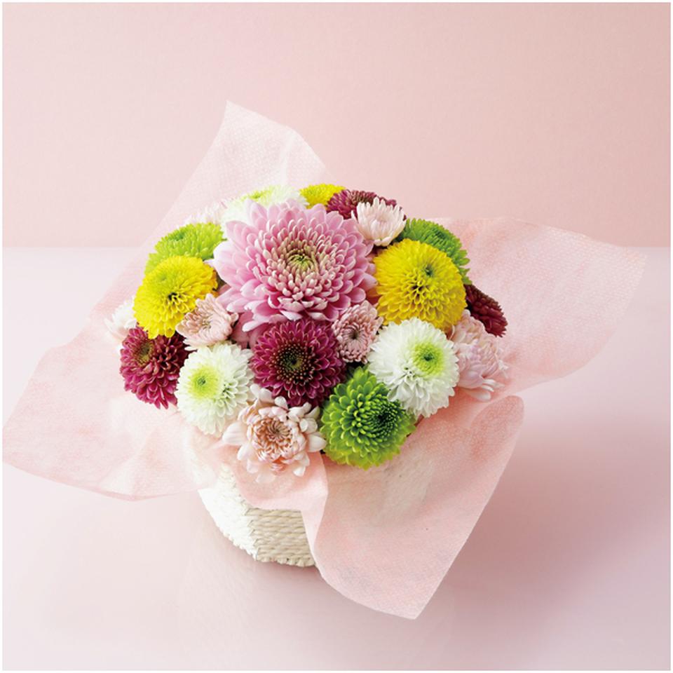 【母の日早得】茨木春草園フラワーアレンジ「マカロンケーキ」 商品サムネイル