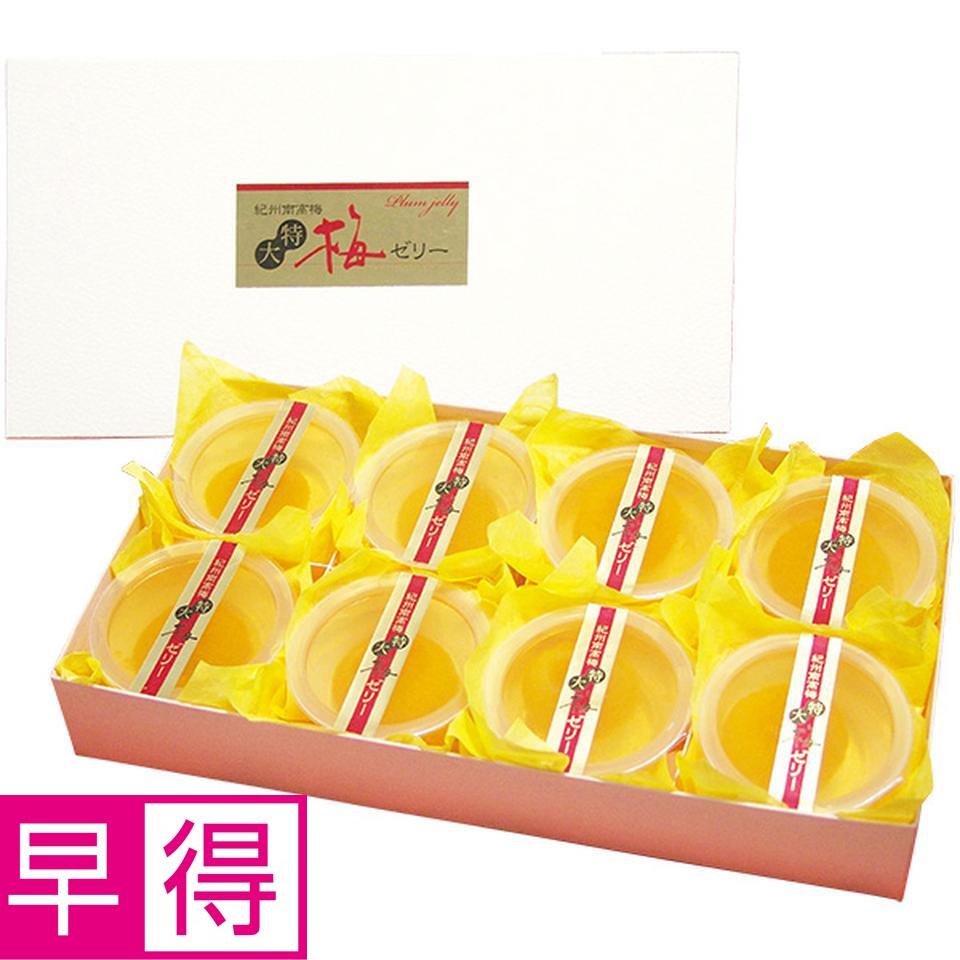 【夏の贈りもの早得】紀州紅梅園　紀州南高梅特大梅ゼリー８個 商品サムネイル