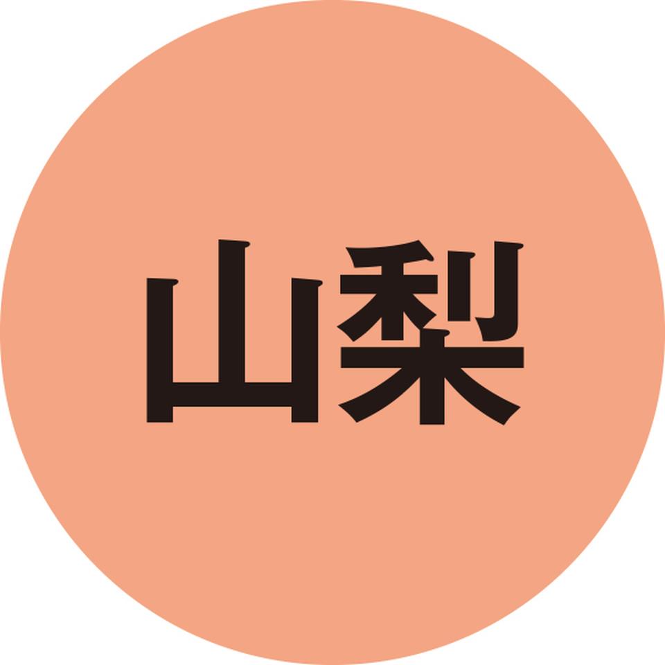 【お歳暮 ギフト】有川商事 国産小麦の生ほうとう 商品画像(4)