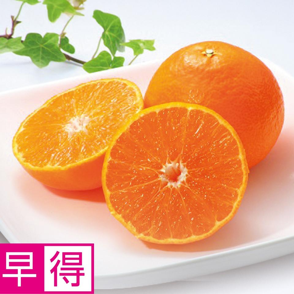 【お歳暮 ギフト早得】愛媛県産 紅まどんな 青秀品、２Ｌサイズ１２個又はＬサイズ１５個、計２．７ｋｇ以上 商品サムネイル