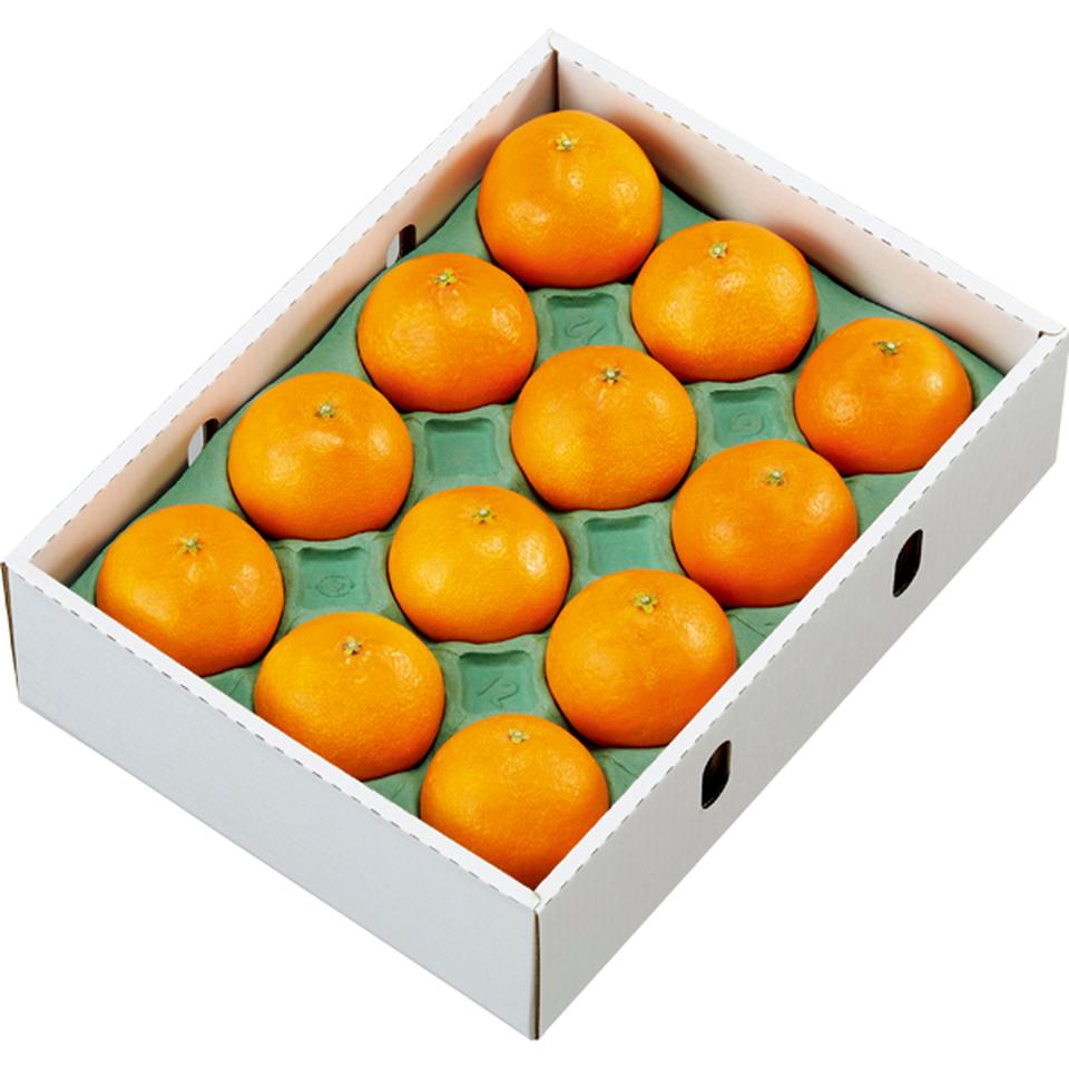 【お歳暮 ギフト早得】愛媛県産 紅まどんな 青秀品、2Lサイズ12個又はLサイズ15個、計2.7kg以上 商品画像(3)