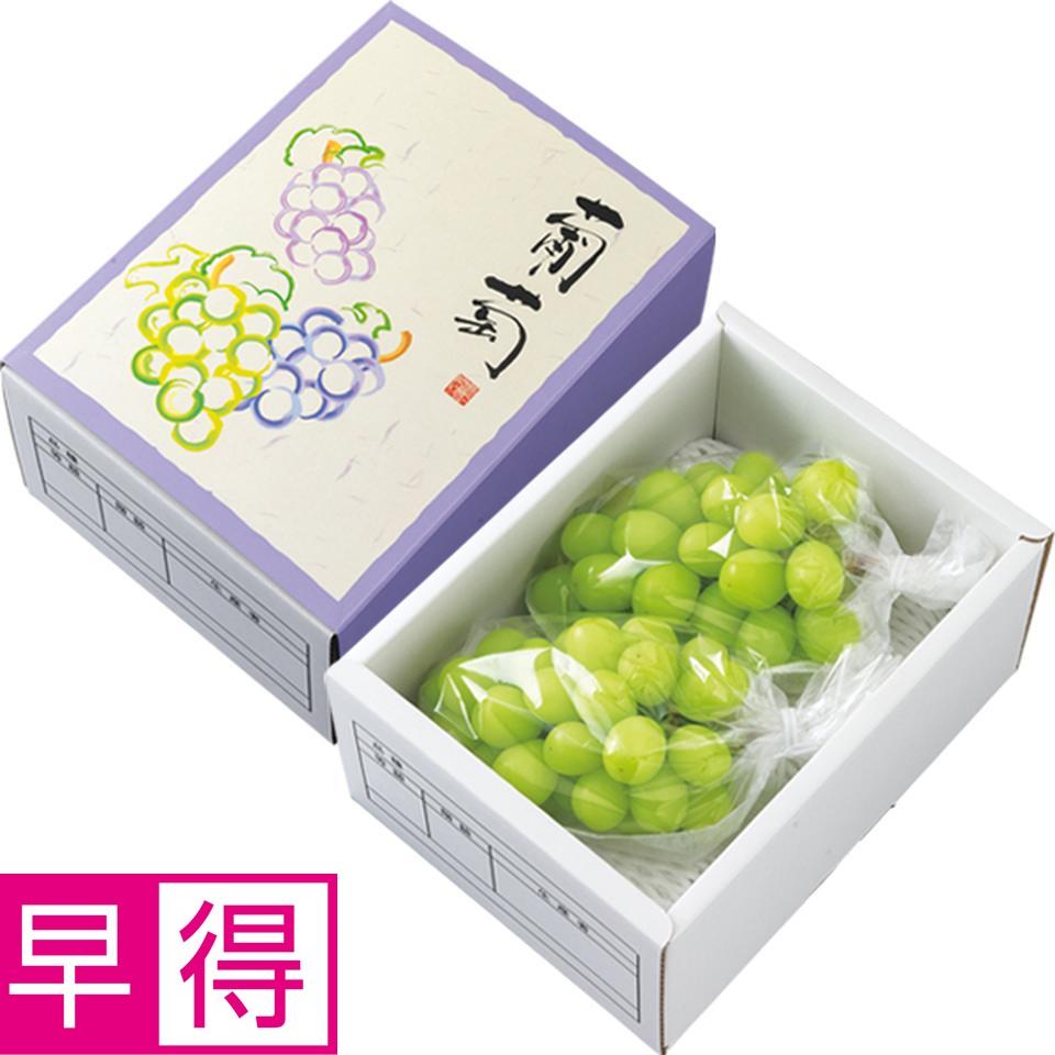 【お歳暮 ギフト早得】長野県産 シャインマスカット 商品サムネイル