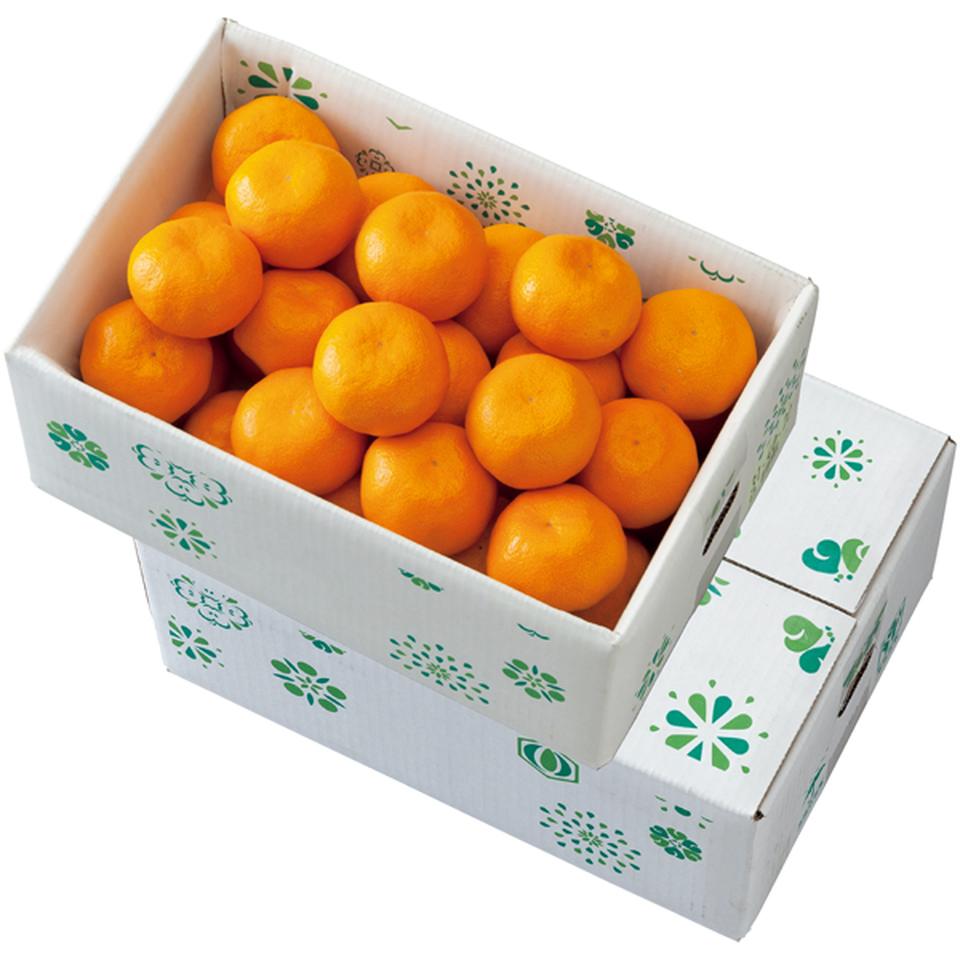 【冬の贈りもの】愛媛県産　トップバリュ減の恵み しまなみ育ちのみかん（秀品又は優品、計３ｋｇ以上） 商品サムネイル