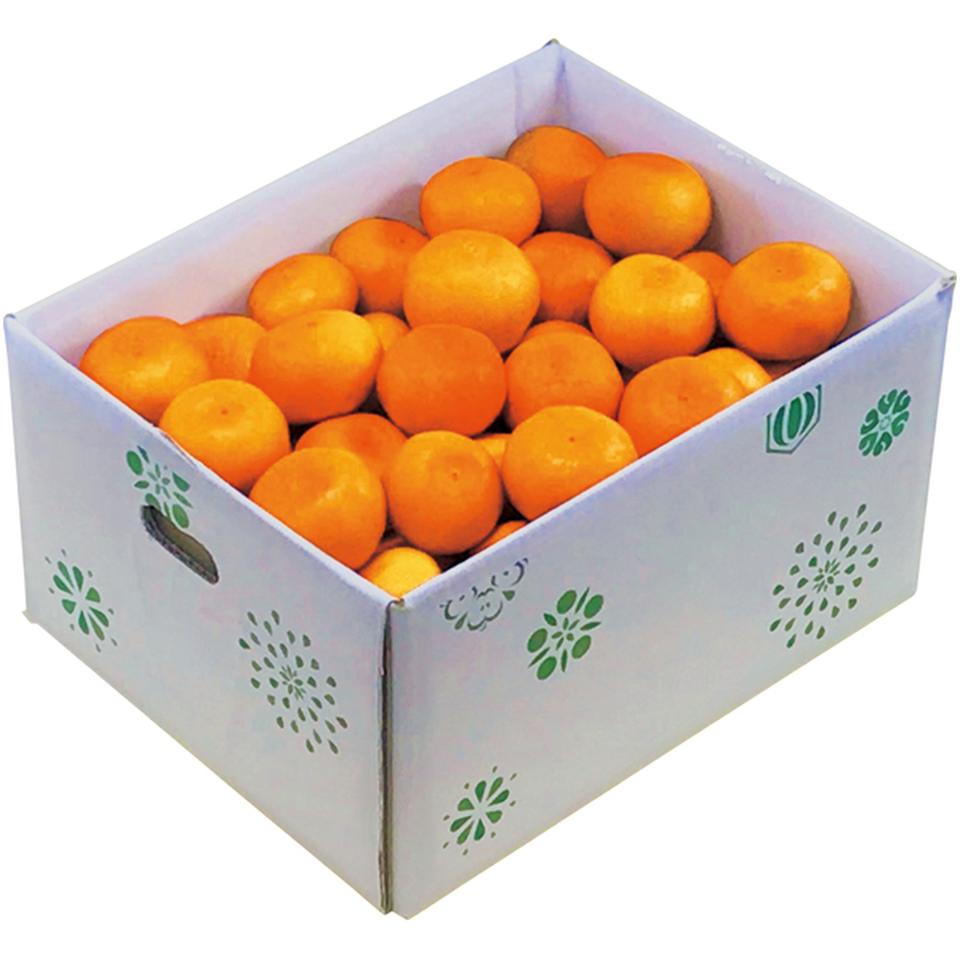 【冬の贈りもの】愛媛県産　トップバリュ減の恵み しまなみ育ちのみかん　秀品又は優品、Ｍ又はＬサイズ、計５ｋｇ以上 商品サムネイル