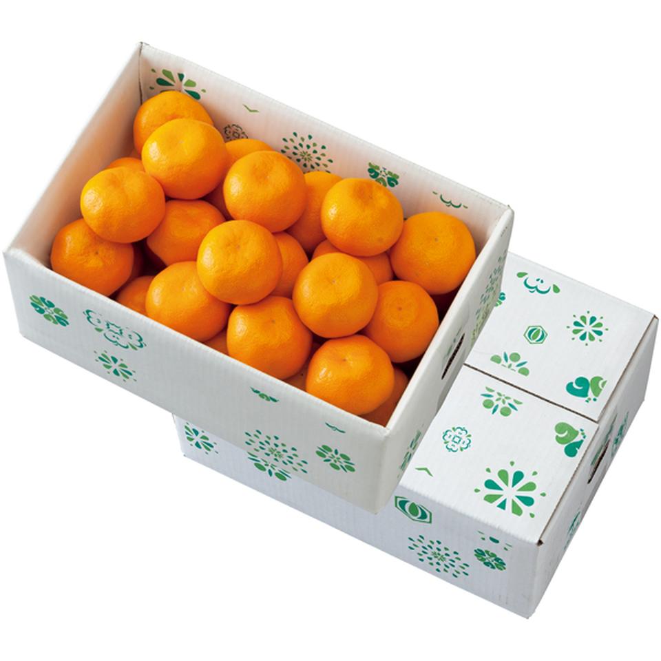 【冬の贈りもの】和歌山県産　トップバリュ減の恵み 有田みかん　秀品又は優品、Ｓ又はＭ又はＬサイズ、計３ｋｇ以上 商品サムネイル