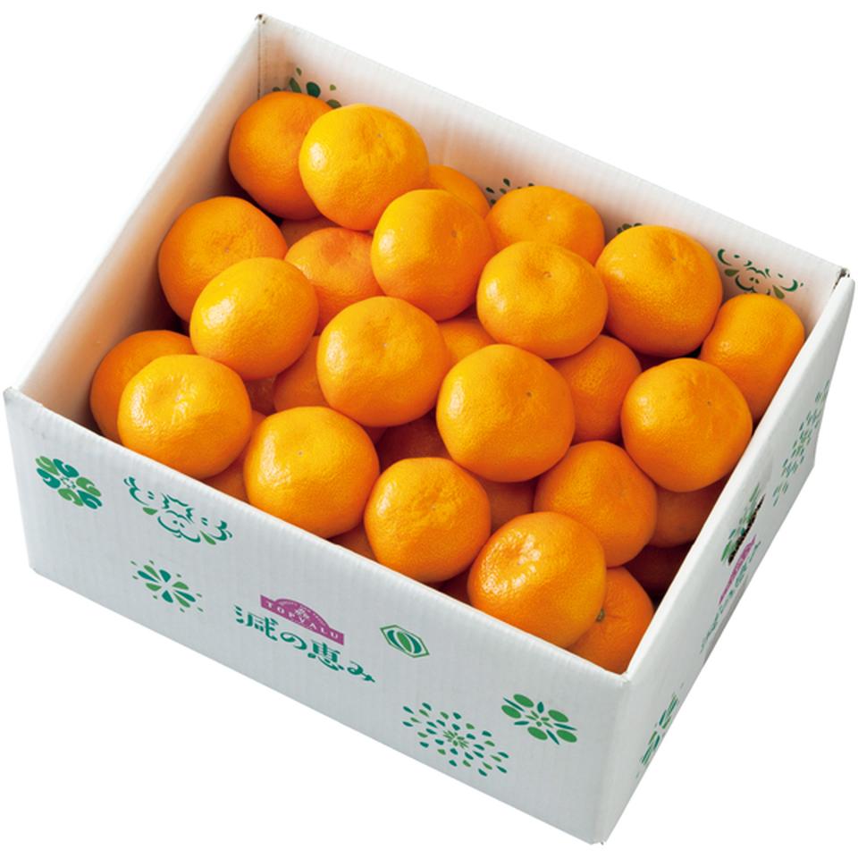 【冬の贈りもの】和歌山県産　トップバリュ減の恵み 有田みかん　秀品又は優品、Ｍ又はＬサイズ、計５ｋｇ以上 商品サムネイル