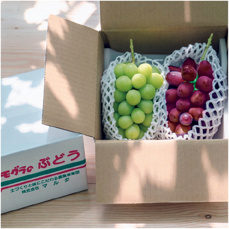 【夏の贈りもの】トップバリュ減の恵み・長野県産 境さん達のハウスぶどう詰合せ 商品サムネイル