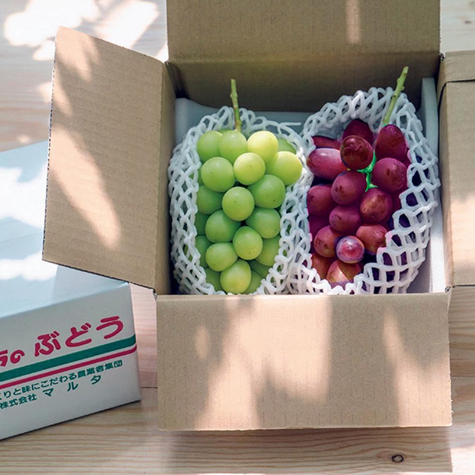 【夏の贈りもの】トップバリュ　減の恵み・長野県産　境さん達のハウスぶどう詰合せ 商品サムネイル