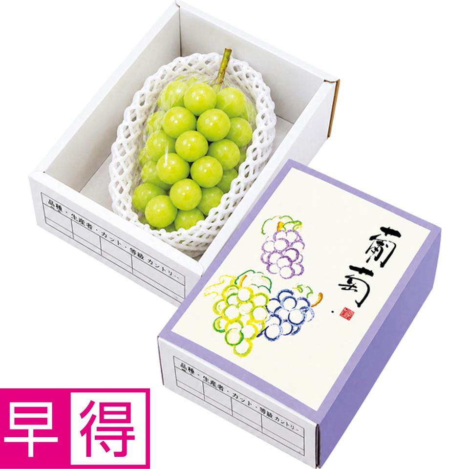 【お歳暮 ギフト早得】ＴＶ　減の恵み　長野県産 シャインマスカット 商品サムネイル