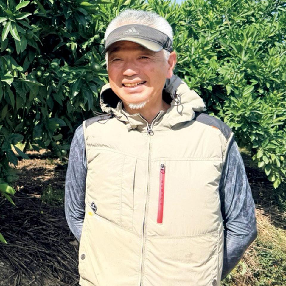 【お歳暮 ギフト】和歌山県産 石地みかん 商品画像(2)