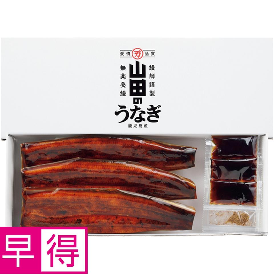 【母の日早得】山田水産山田のうなぎ蒲焼　３尾 商品サムネイル