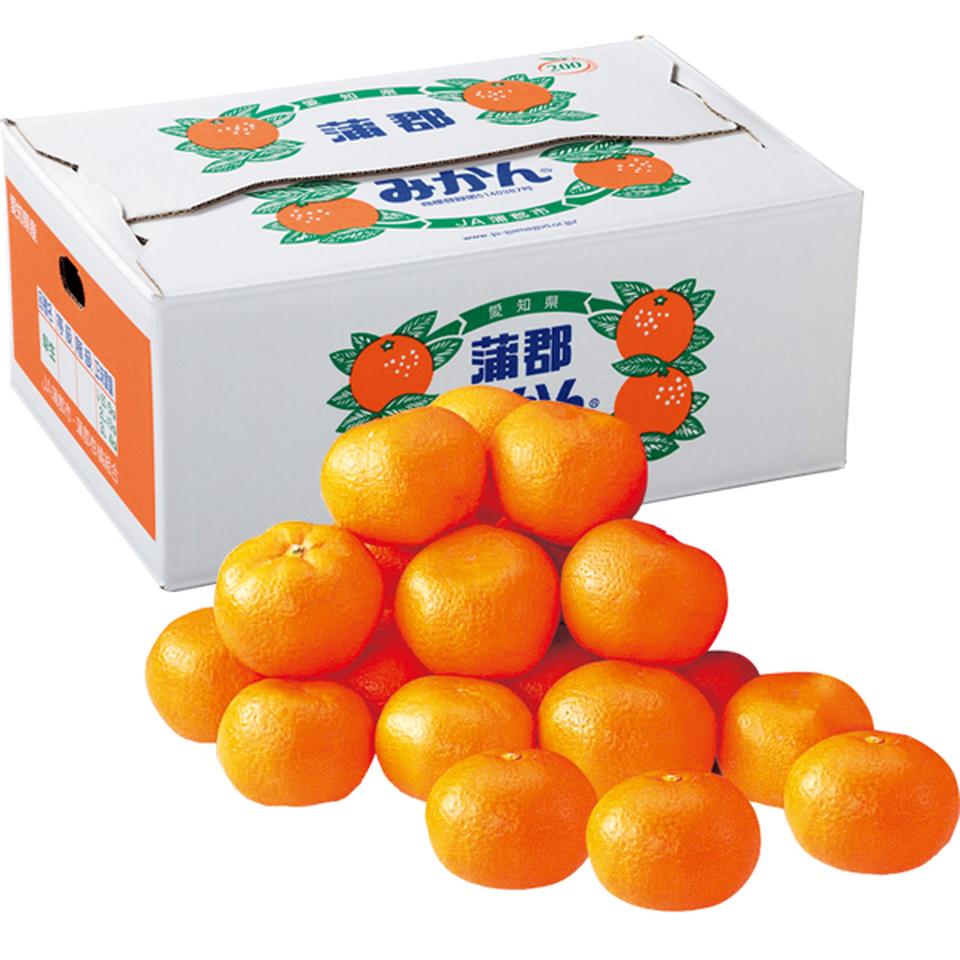 【お歳暮 ギフト】愛知県産 蒲郡みかん 優品、Ｌ又はＭサイズ、計５ｋｇ以上 商品サムネイル