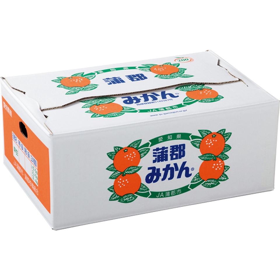 【お歳暮 ギフト】愛知県産 蒲郡みかん 優品、L又はMサイズ、計5kg以上 商品画像(2)